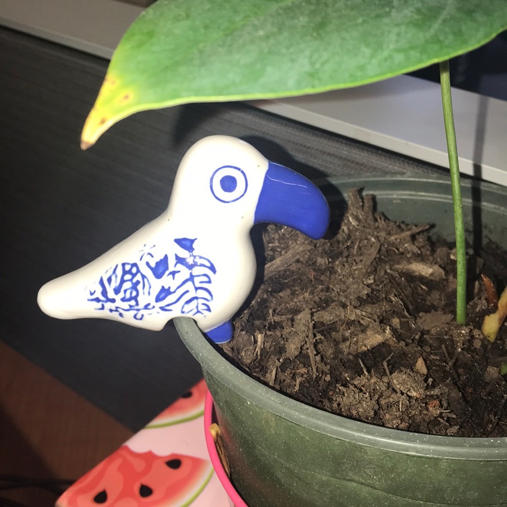 NWT Fish ๐ Ceramic Plant Percher - Picture 2 of 4